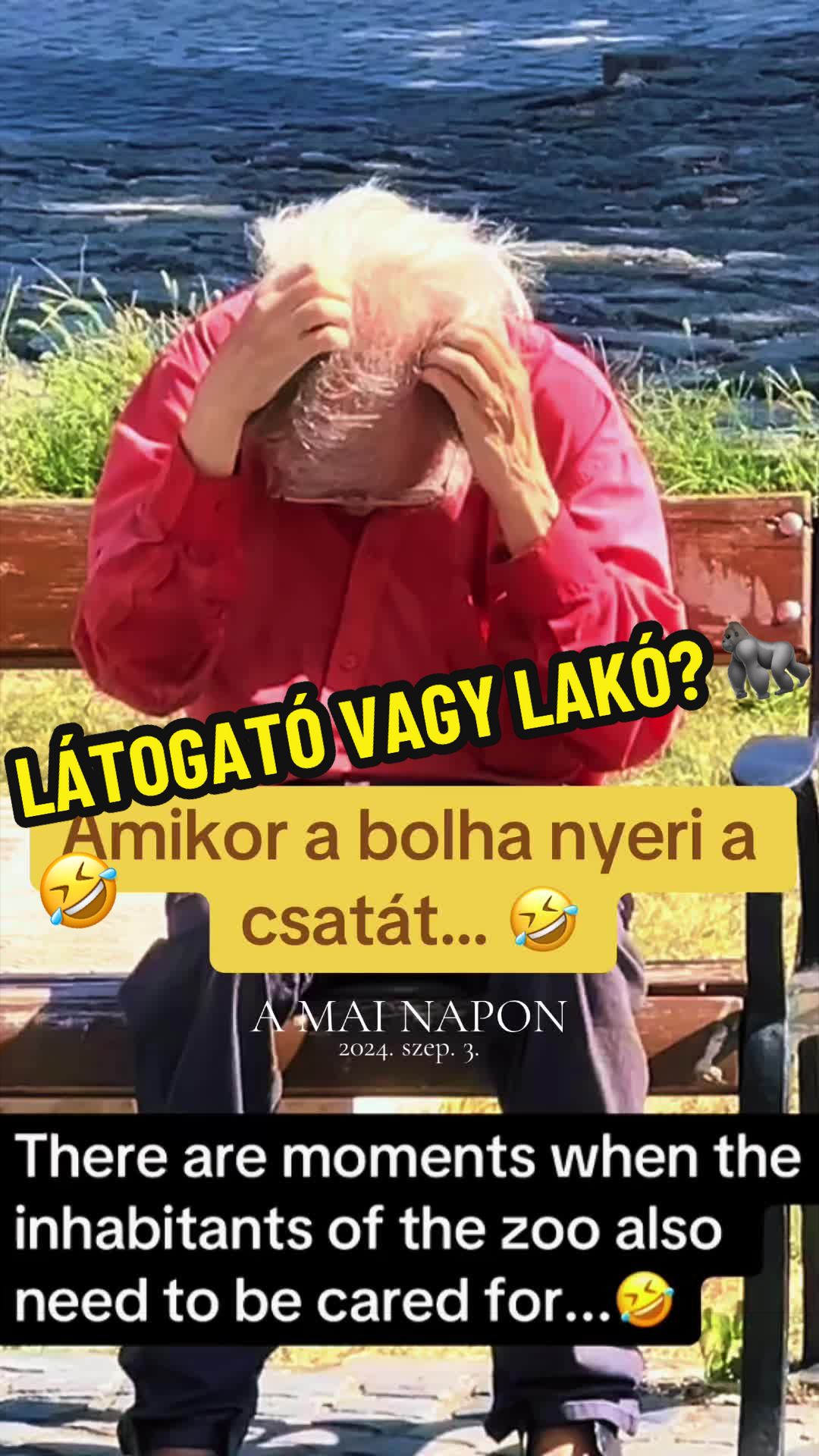 @BLACKMAMBA