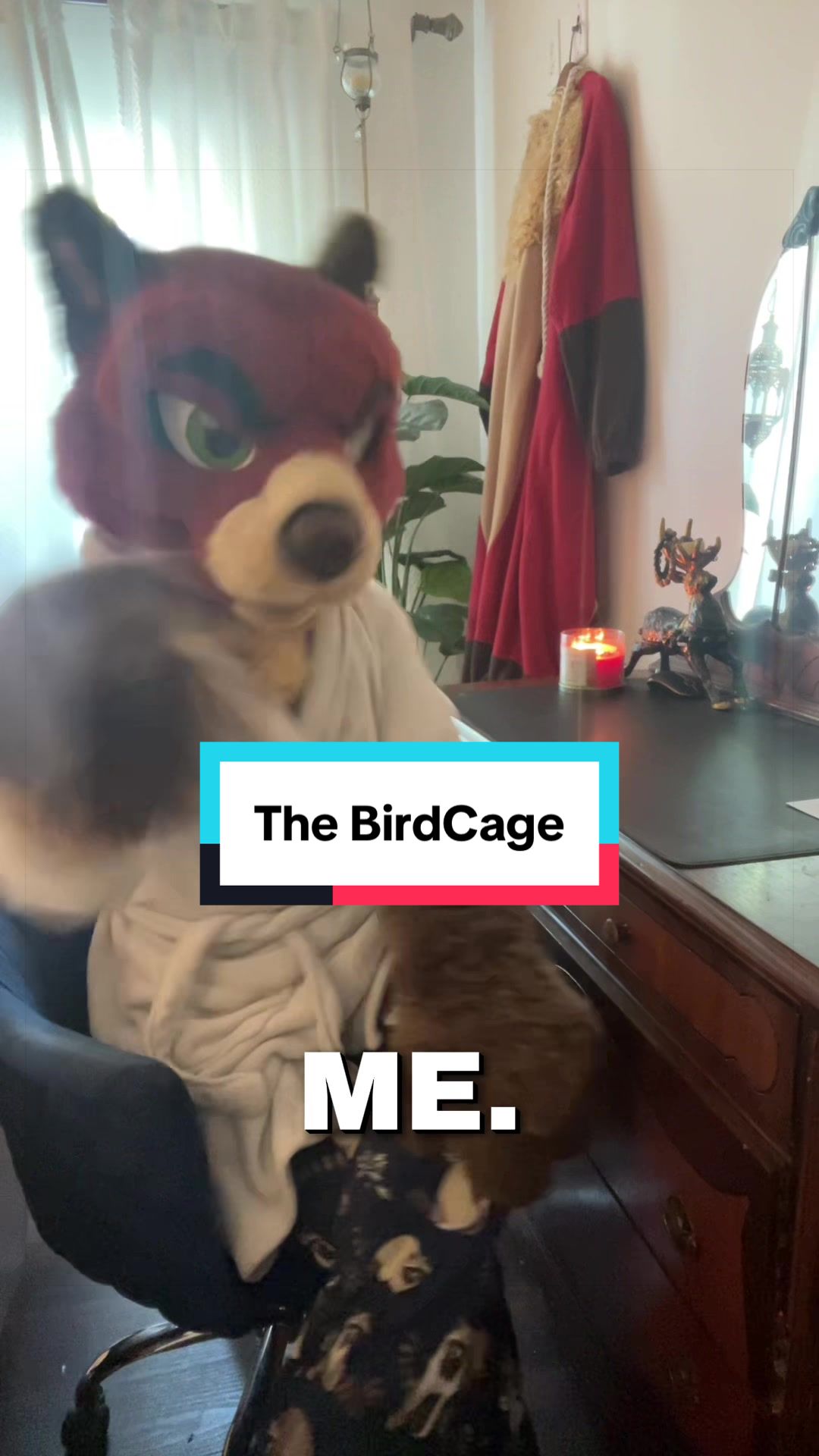 @Mangusu