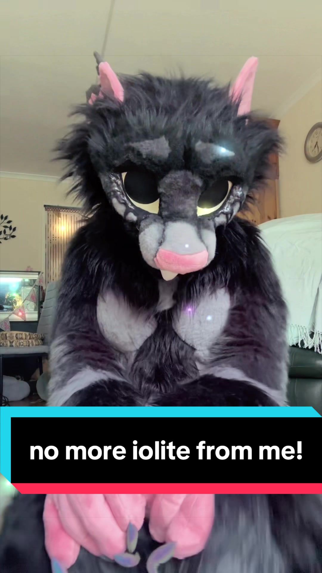 @Rayne (alyxamutt)