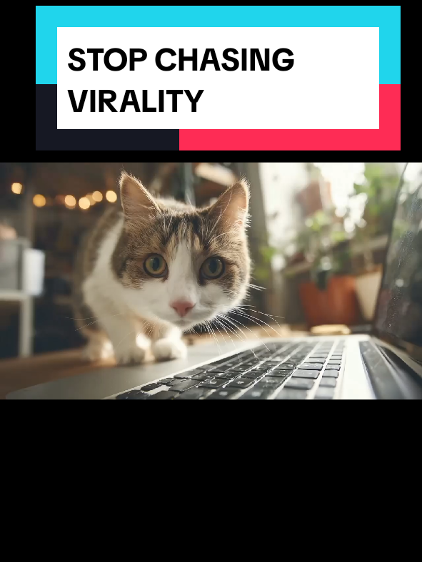 @Tiktok Creator Pilot Program
