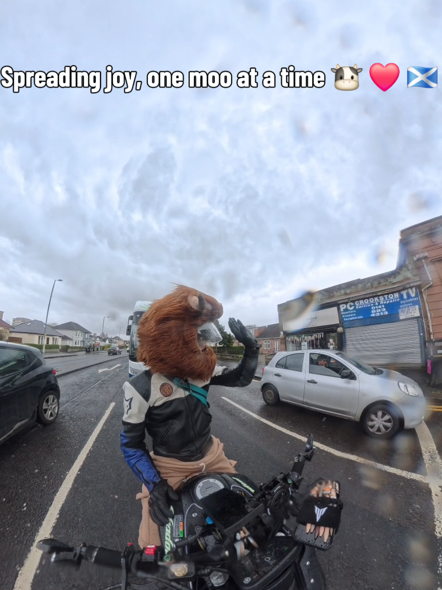 @Highland Cow Rider 🐮🏍