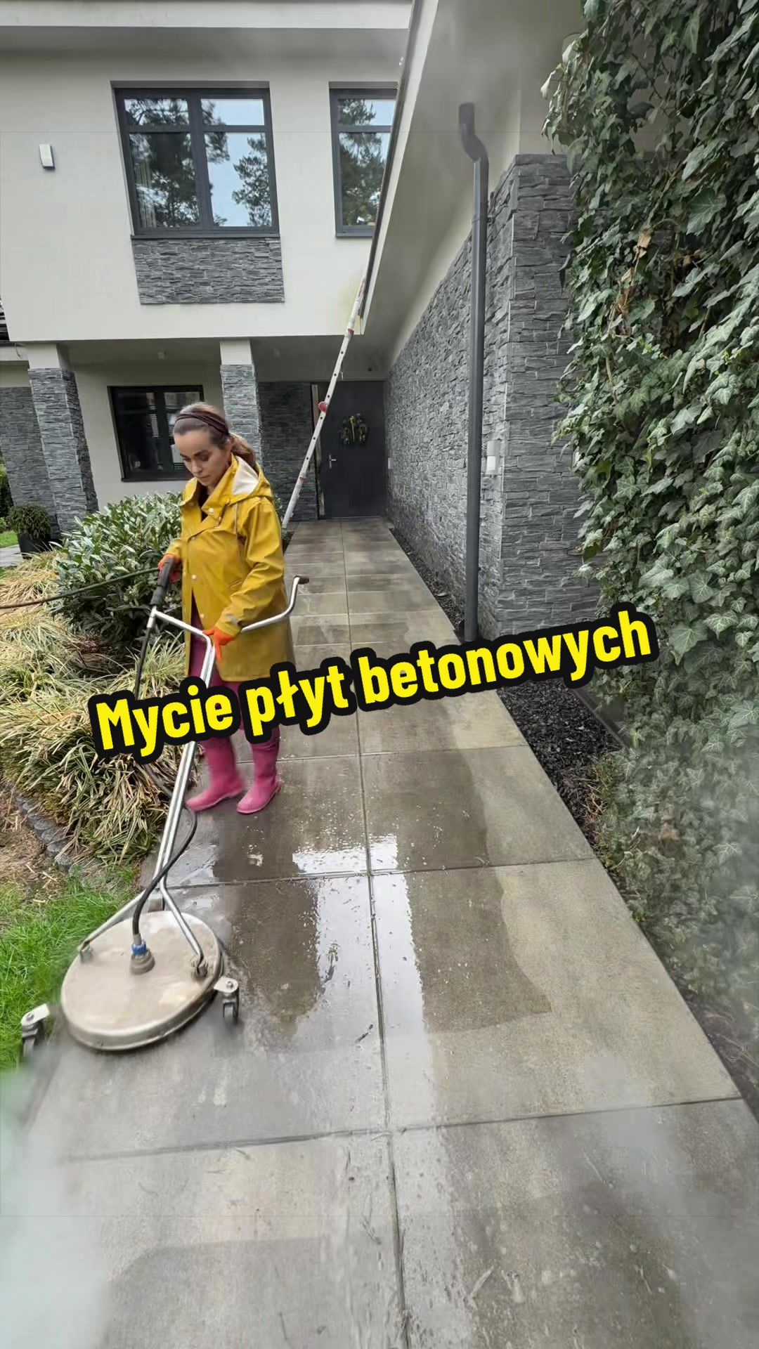 @wilkdomymyje