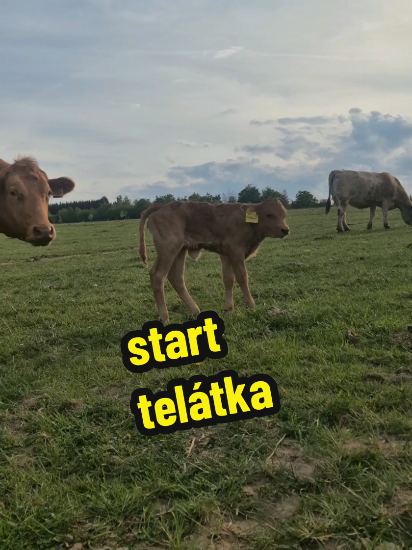 @Ekofarma Holčovice