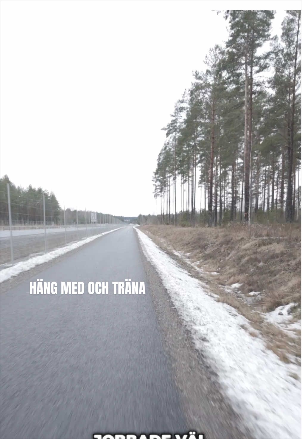 @Noa Forsman