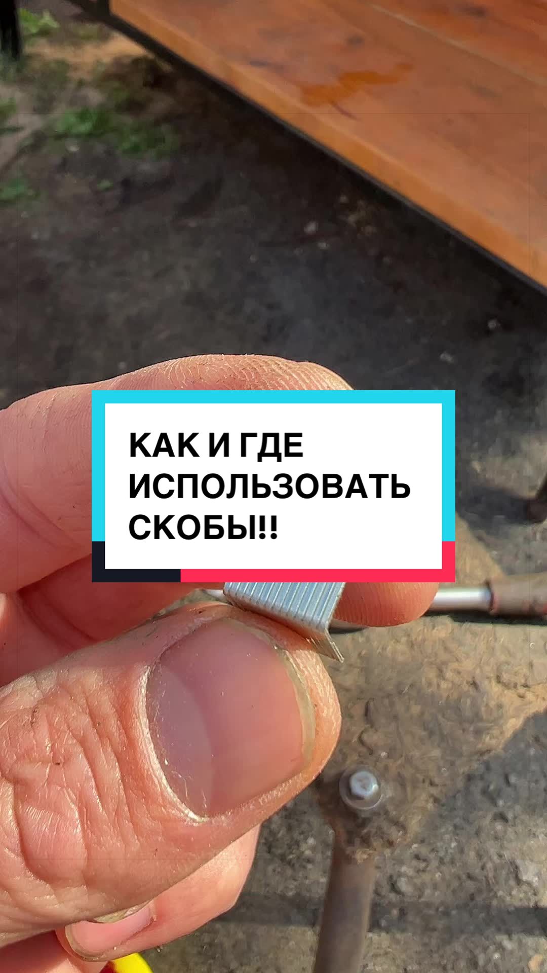 @laifhak_mozgi