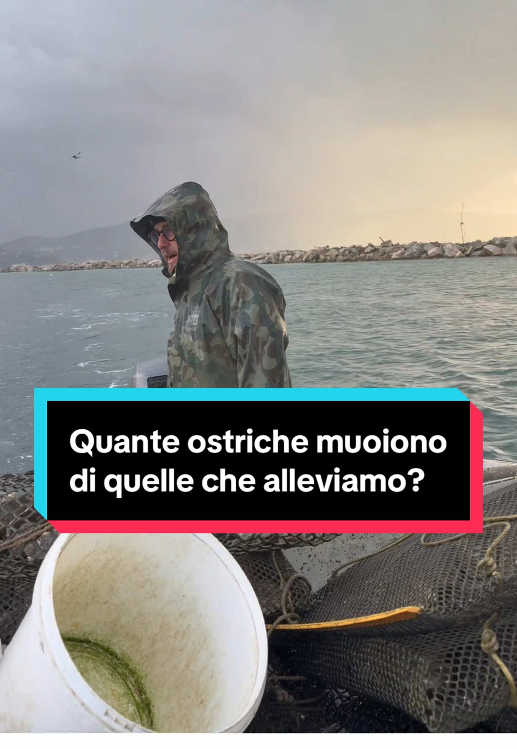 @Mitili&Mitili