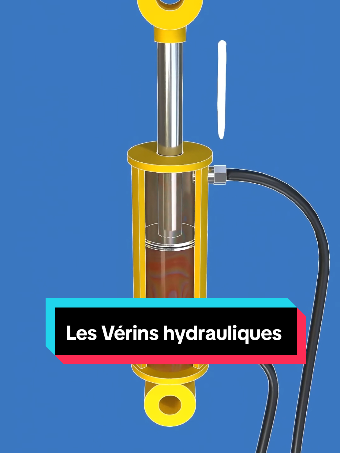 @Savoir Plus 🤓