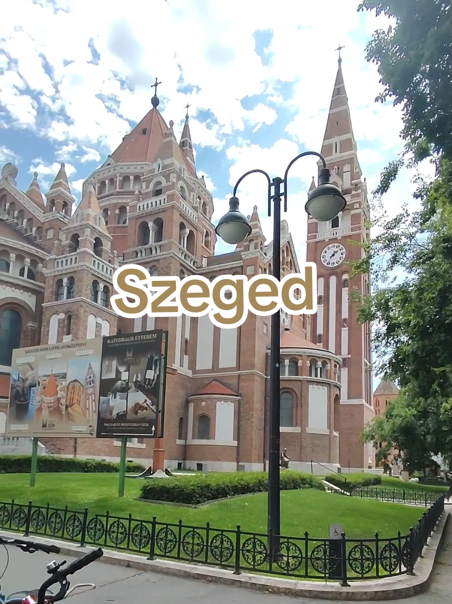 @Travel Mood Minutes
