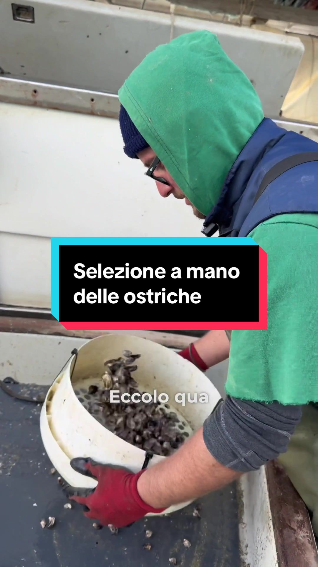 @Mitili&Mitili