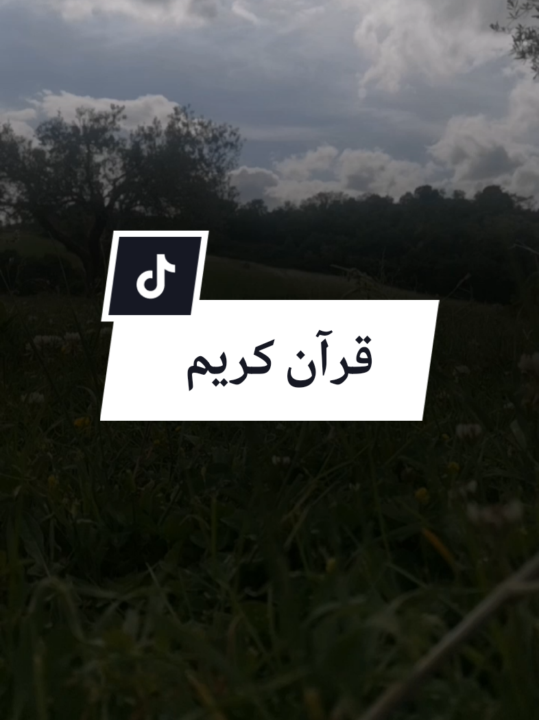 @Idoghlaf Mohamed