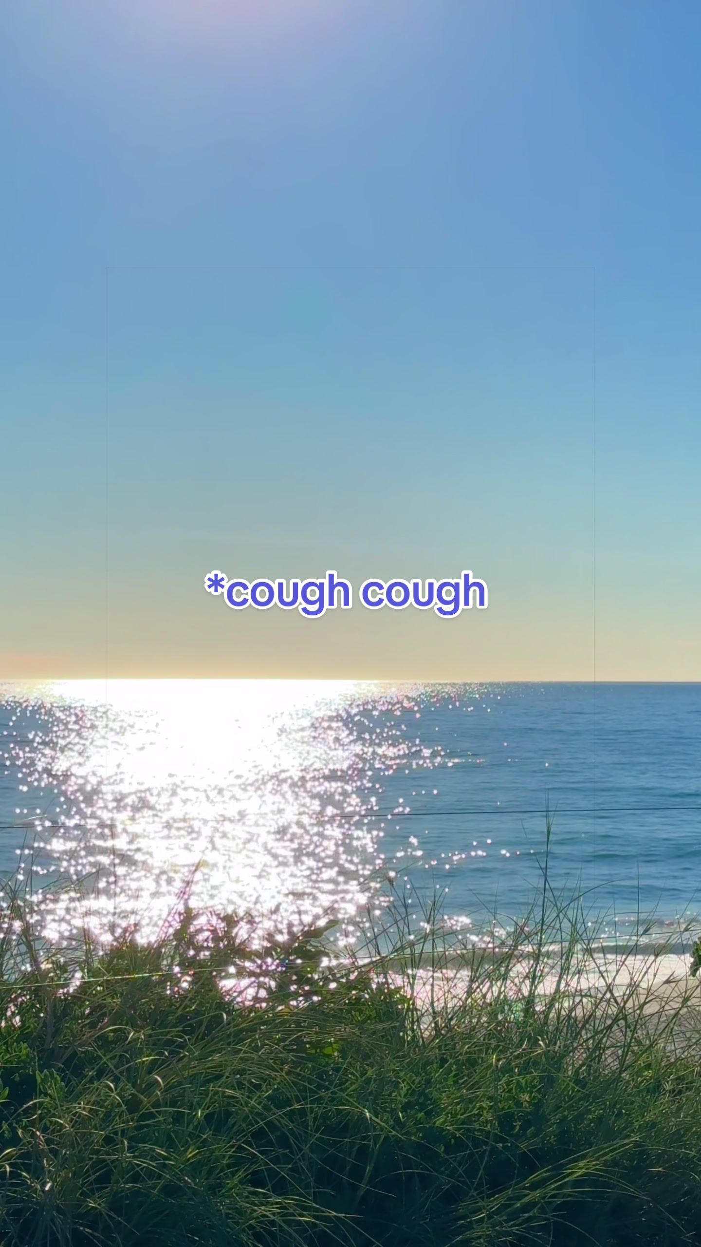 @The Beach Bus