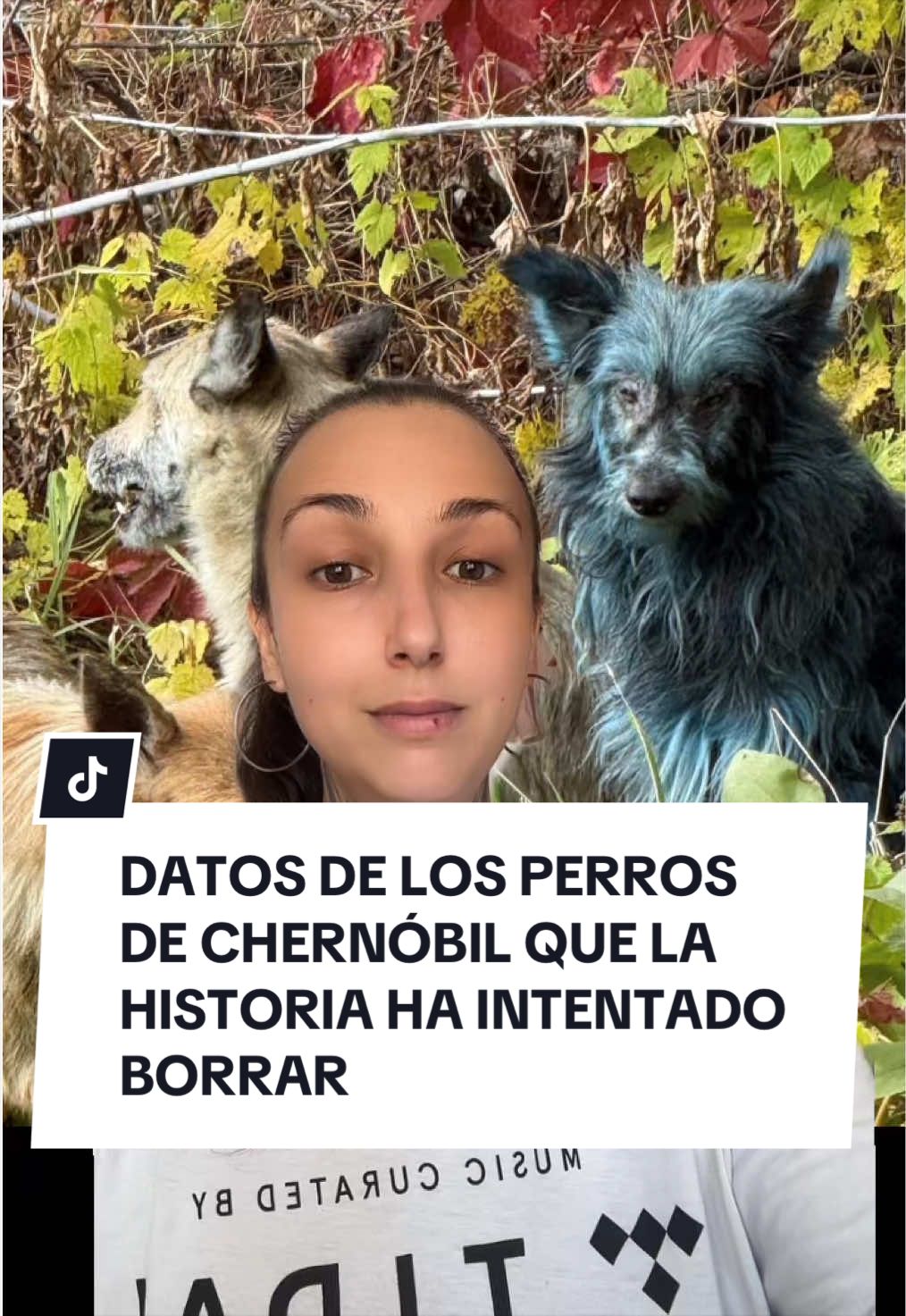 @S H E I L A 🧙🏻♀️🔮
