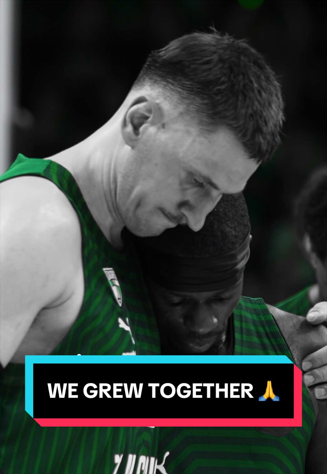 @bczalgiris