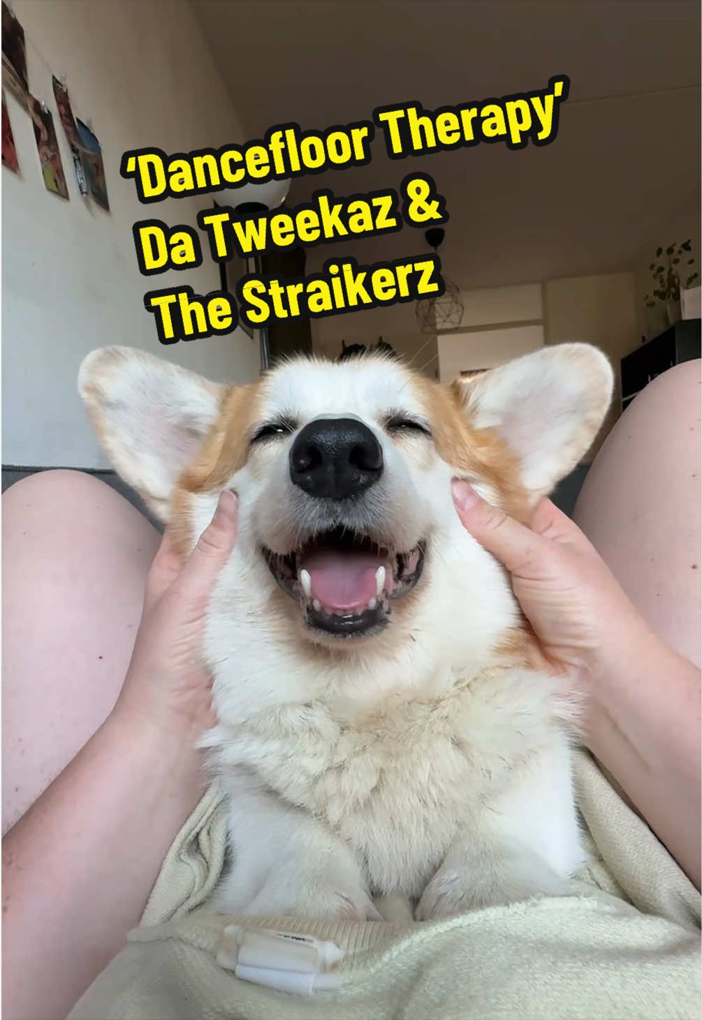 @Kickroll Corgi Charlie ๐ถ๐