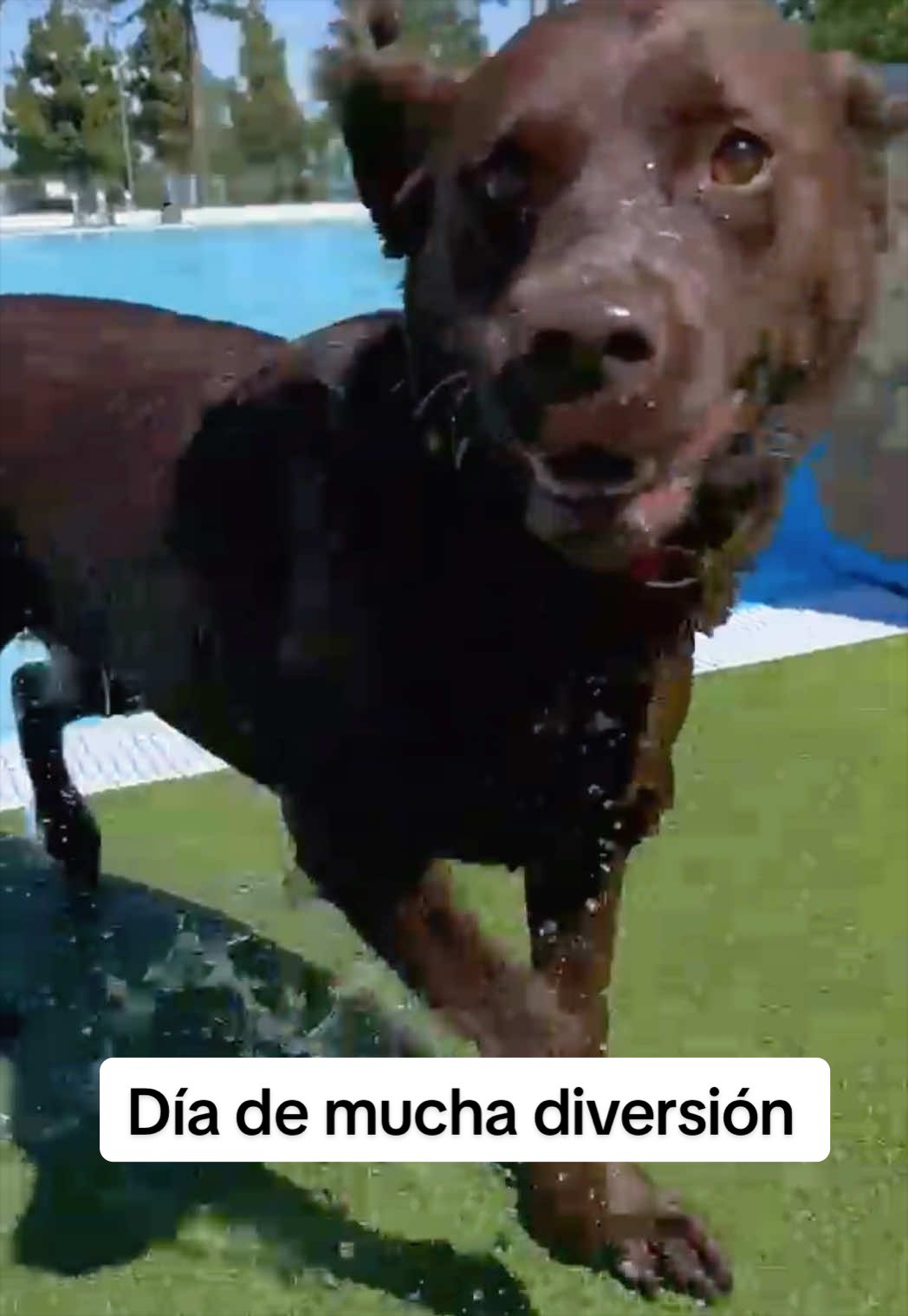 @Dos bombones