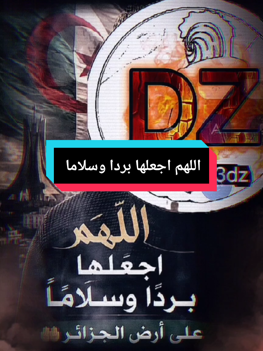 @live+213dz