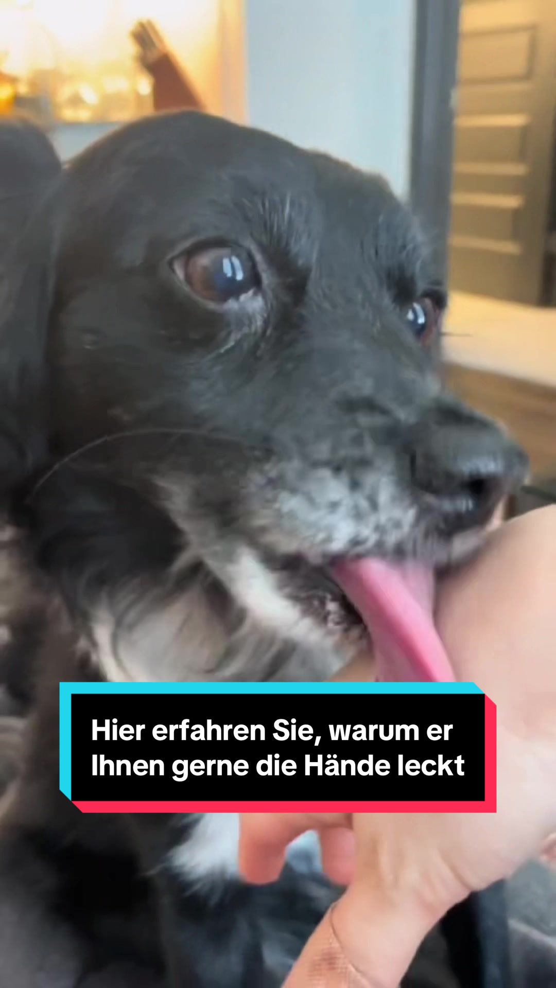 @Tiere kennen🐾