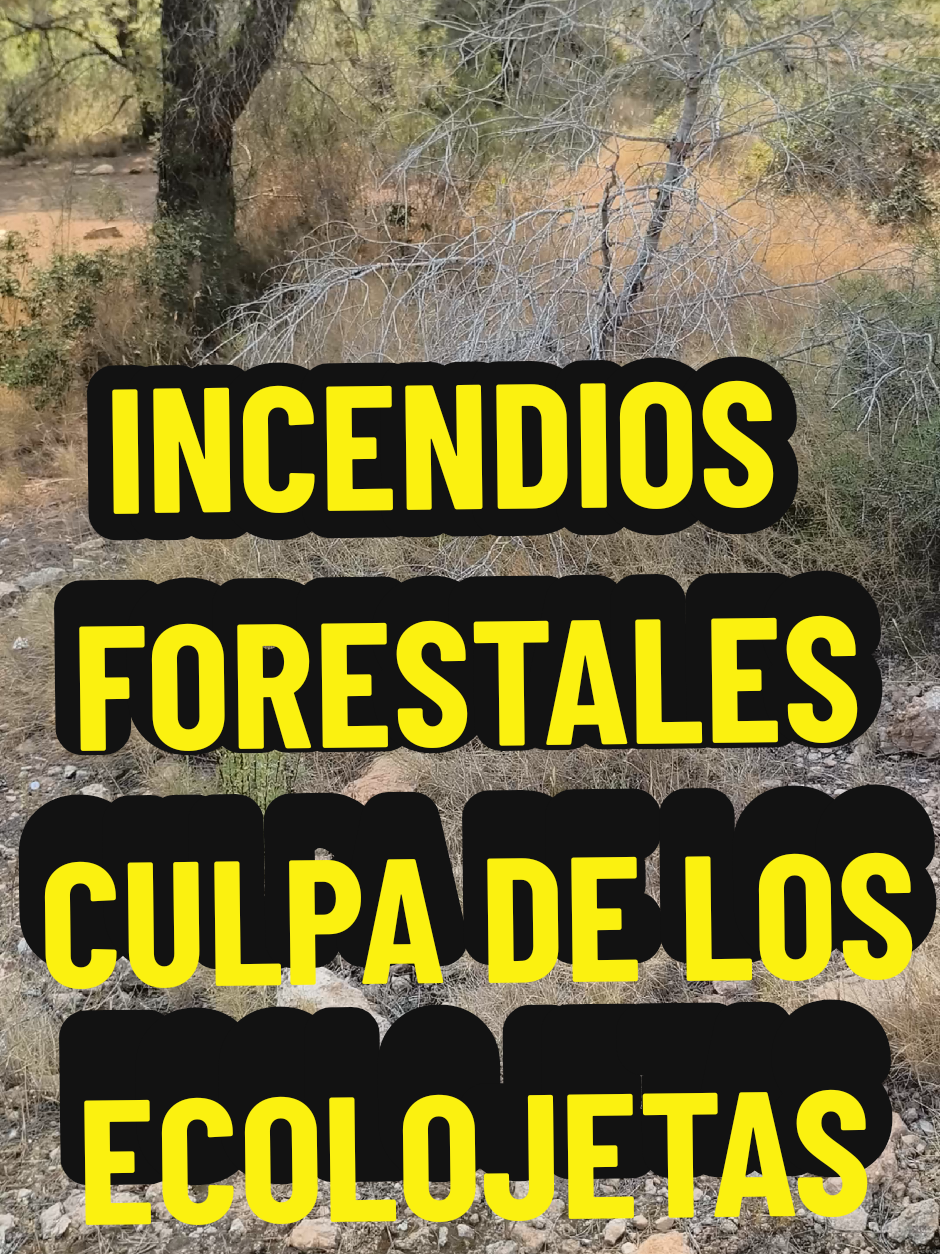 @aguaiuris