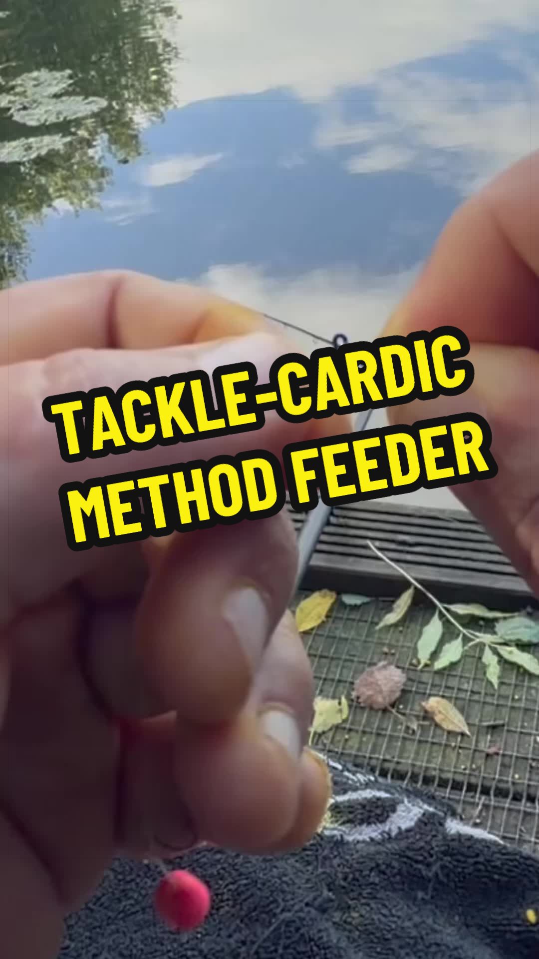 @Just for Casts