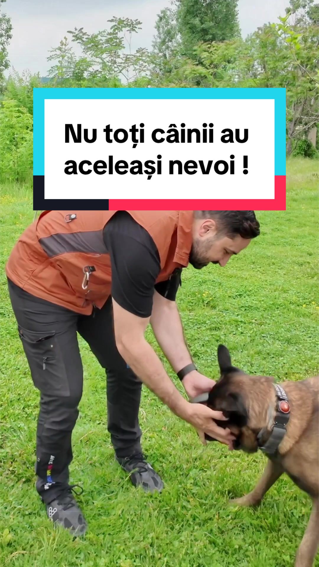 @Tudor-Tim Ionescu