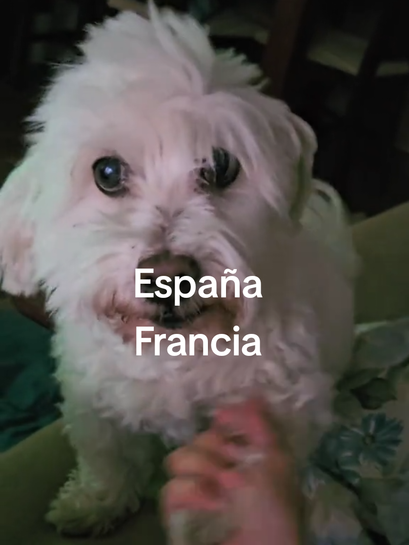 @✨️Cristina