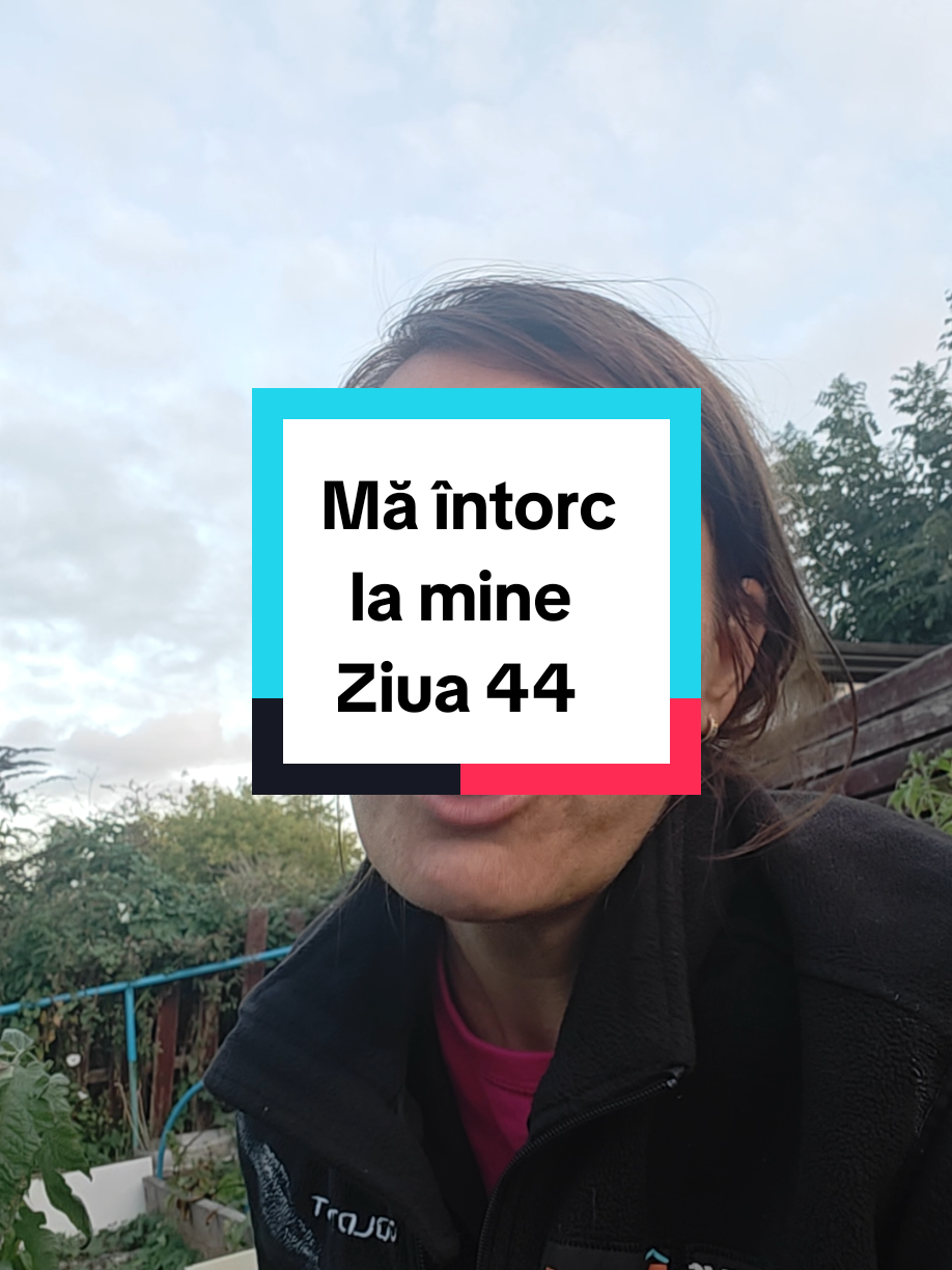 @Florina Cordoș
