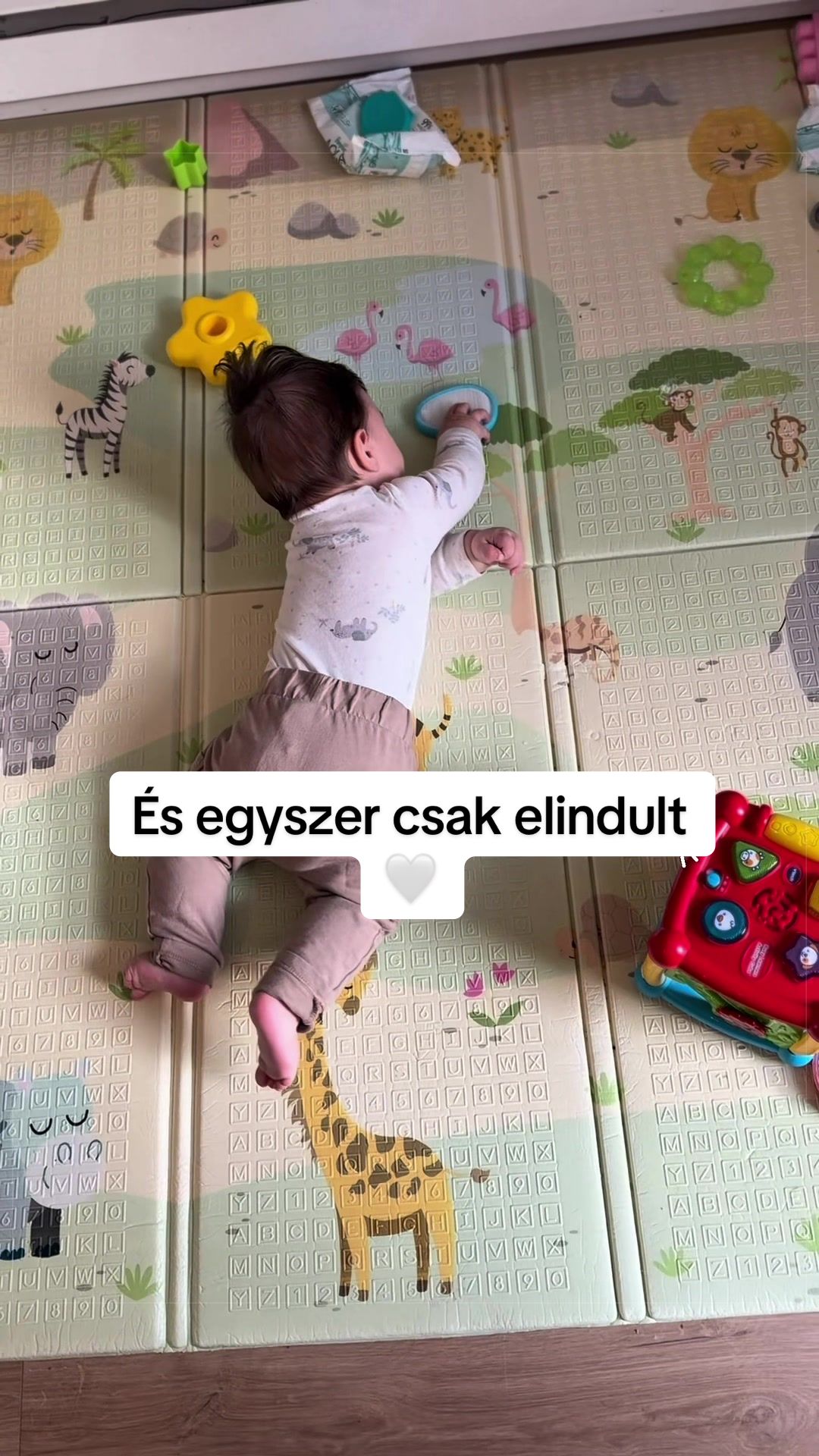 @Evelyn & Dan 🇨🇦🇭🇺