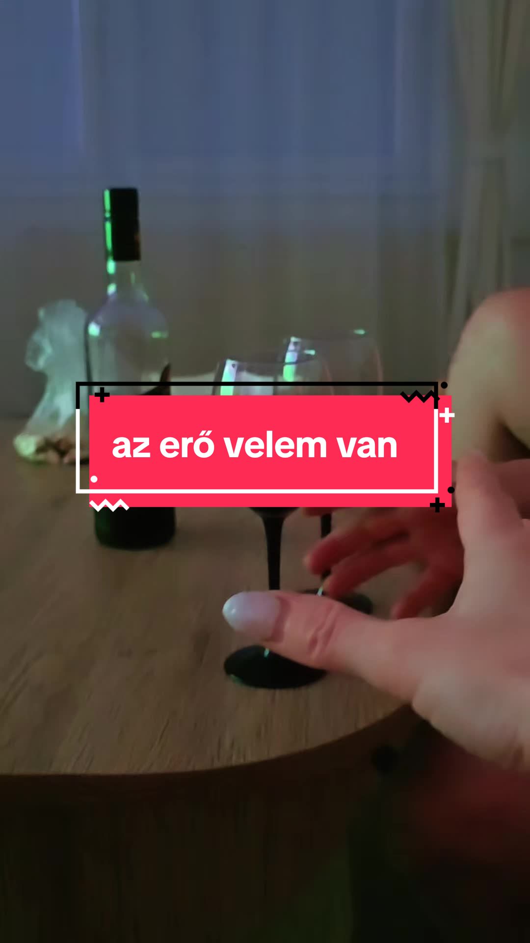 @Docsa Cat