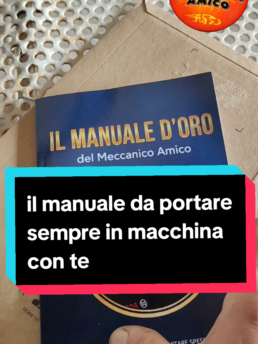 @il meccanico amico