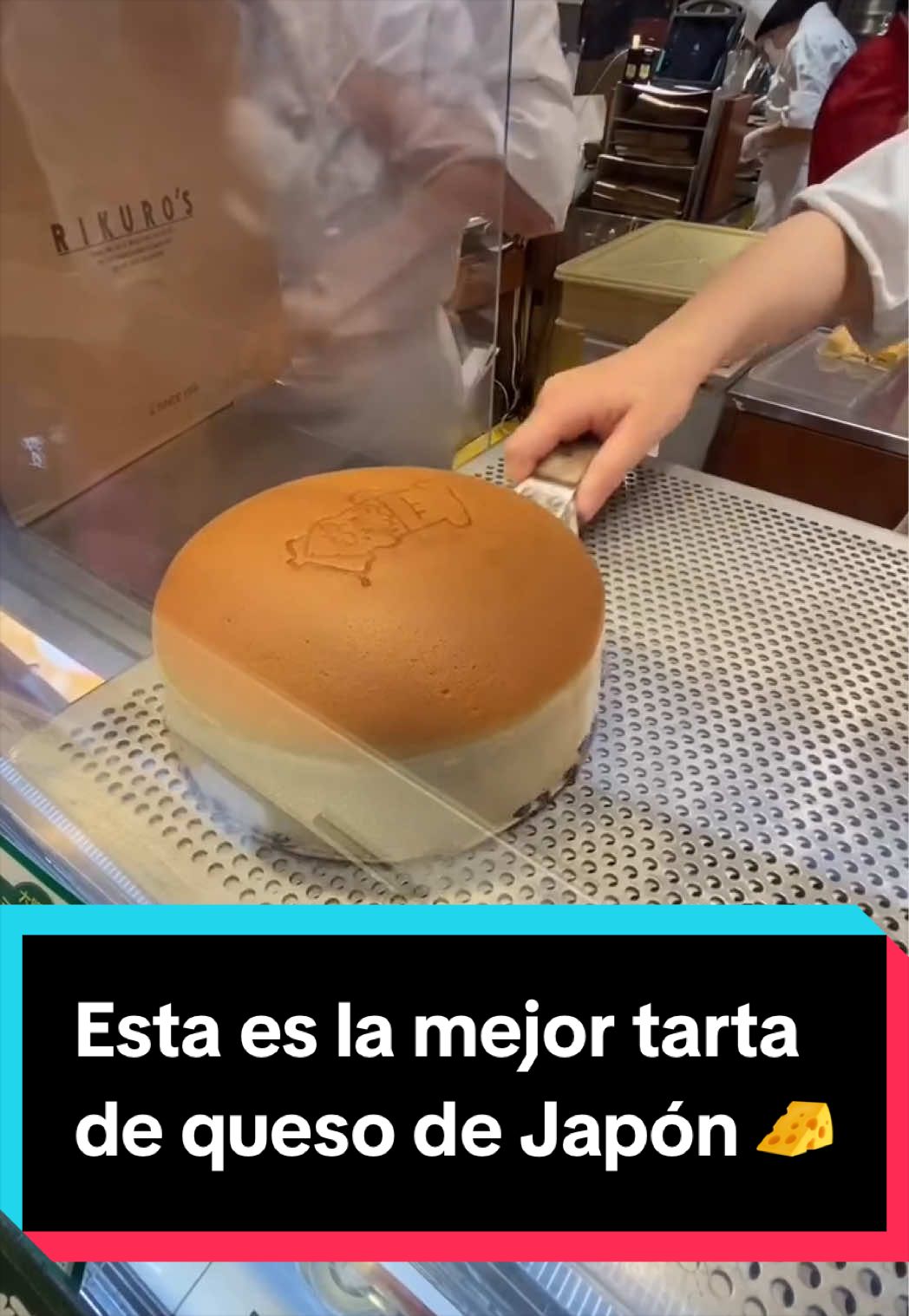@Jap&oacute;n Alternativo