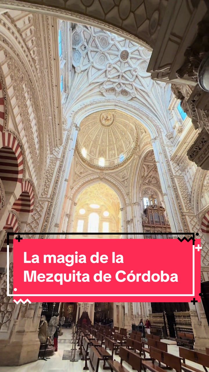 @Sorialfredo