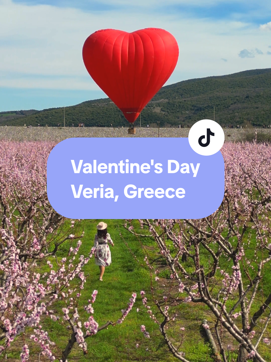 @George Vergados