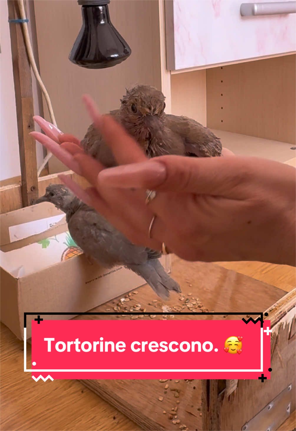 @Eleonora B.