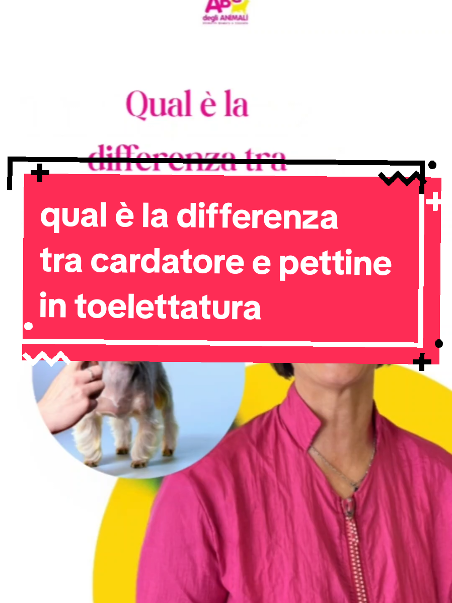@ABC toelettatura Verona