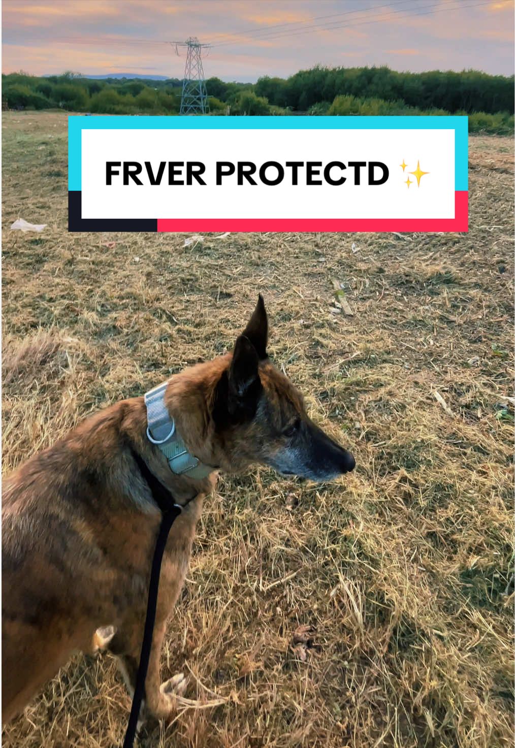 @Lydia Des Dolles