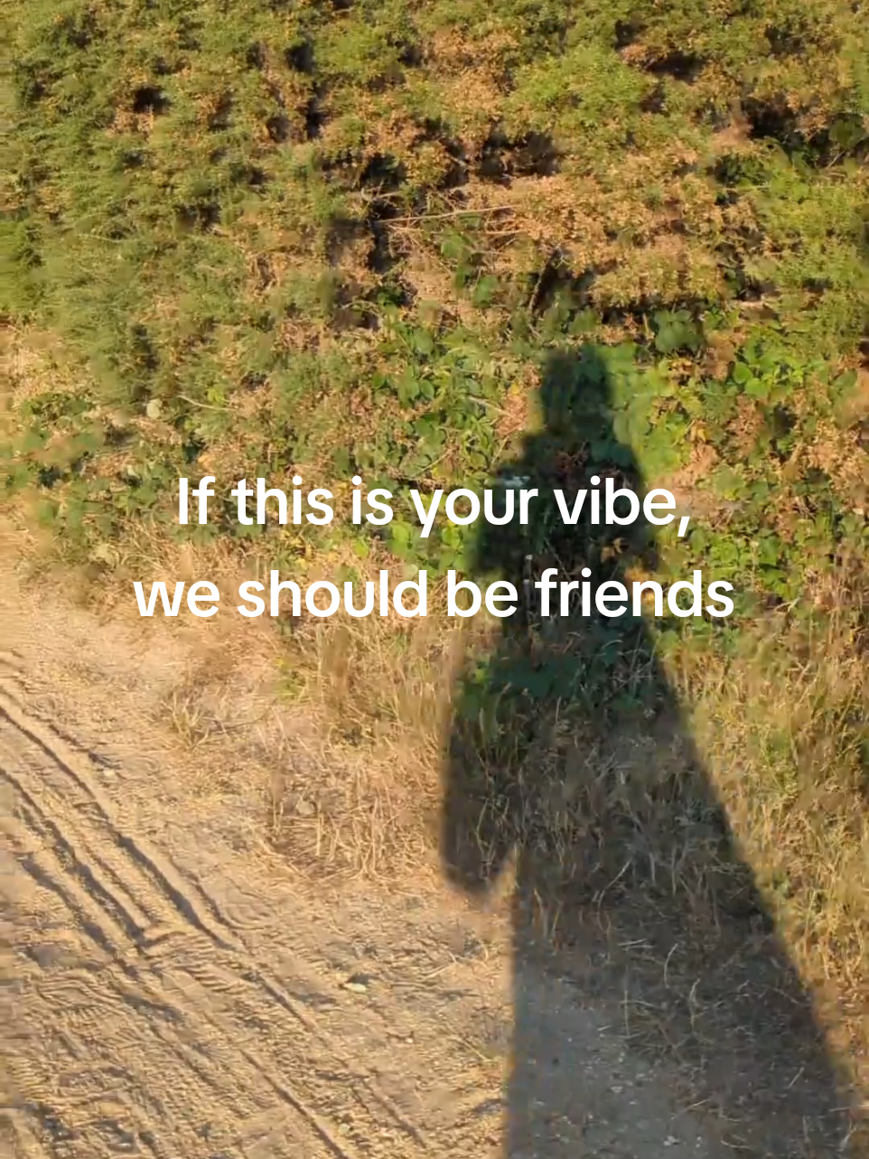 @Hedgewitch & Wolf
