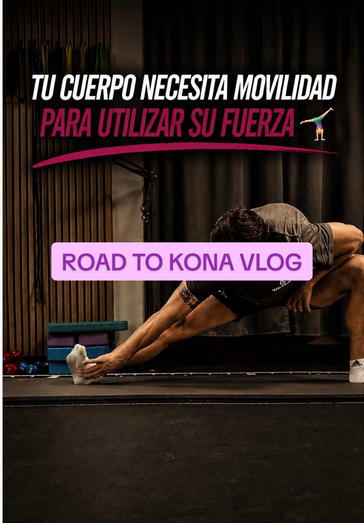 @Marc Orellana Abellan