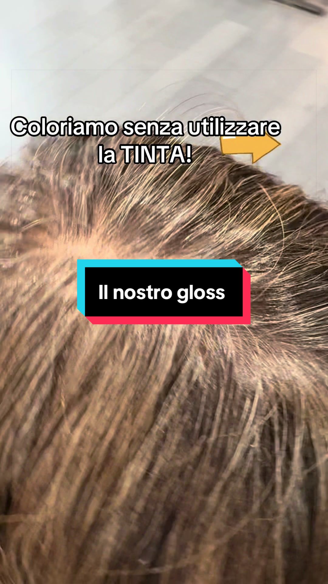 @Maison Silvia