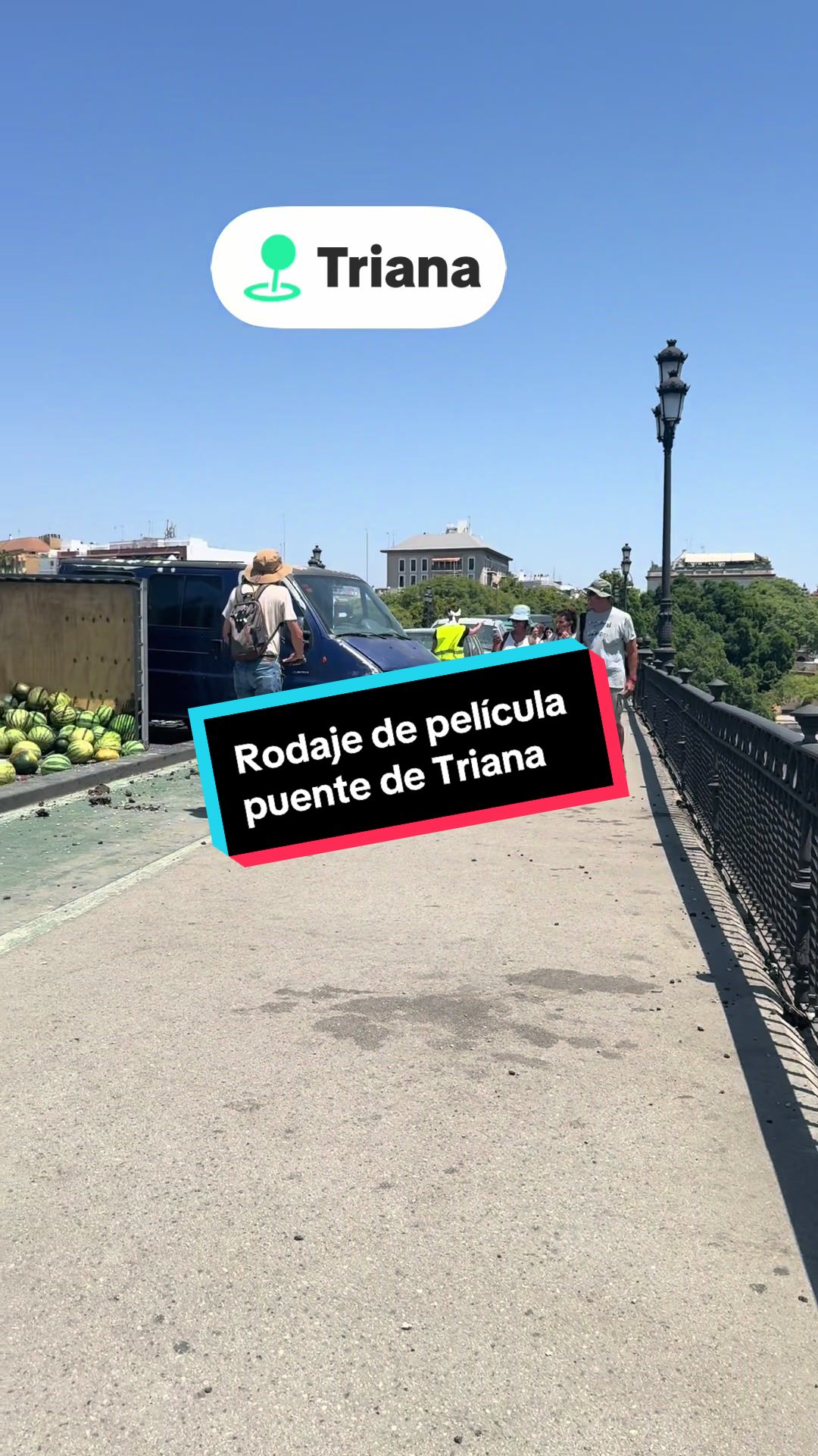 @Rosa Morgado