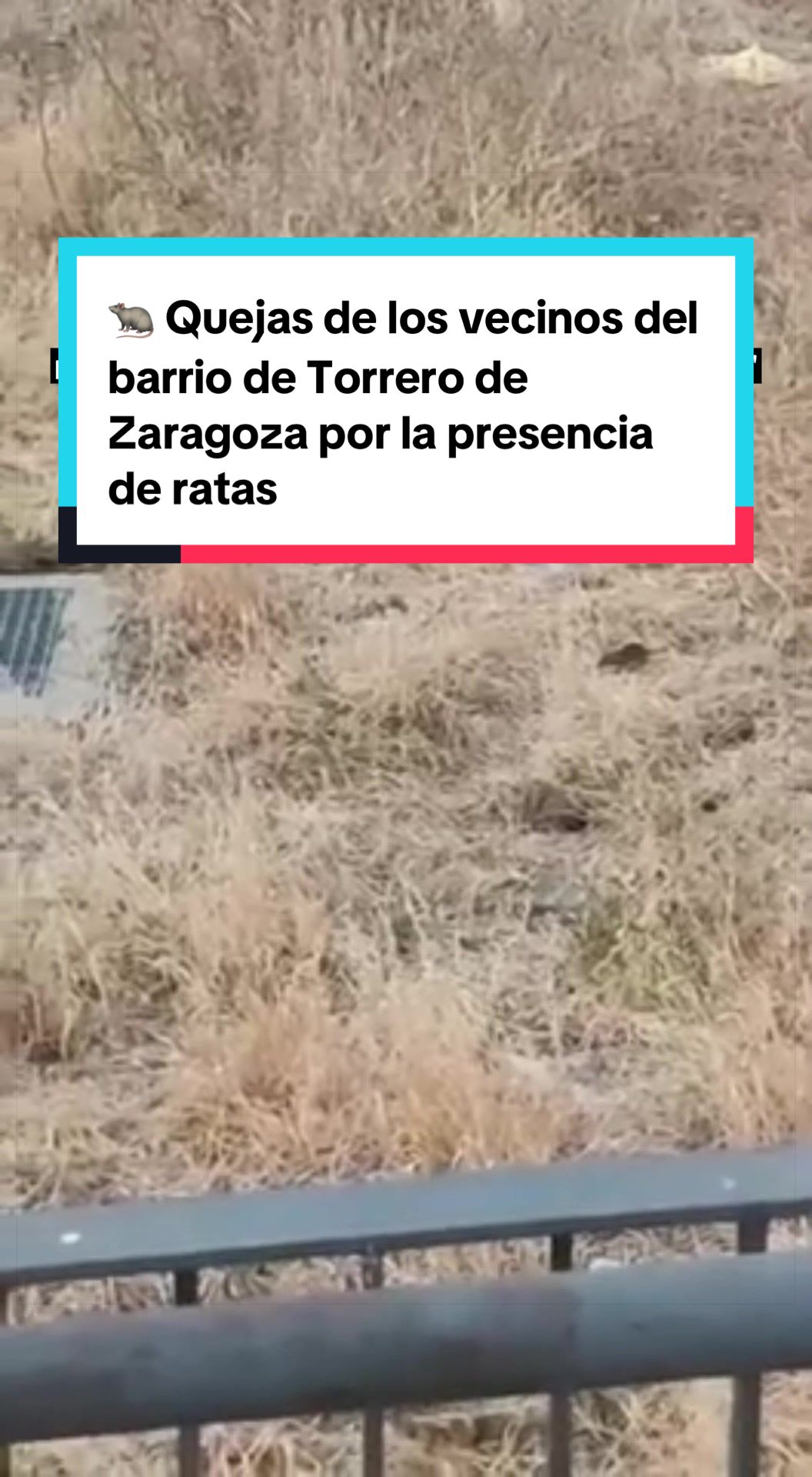@Heraldo de Aragón - Noticias