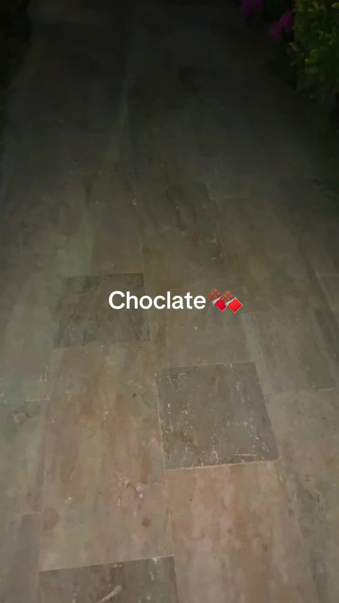 @𝕊𝕠𝕗𝕥𝕚𝕖𝕖_𝕘𝕚𝕣𝕝🧸🎀