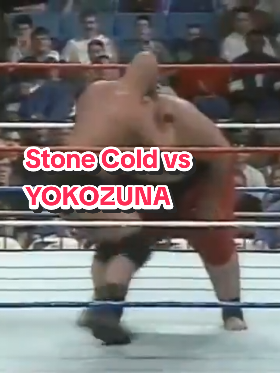 @Ultimate Wrestling Fan Warrior