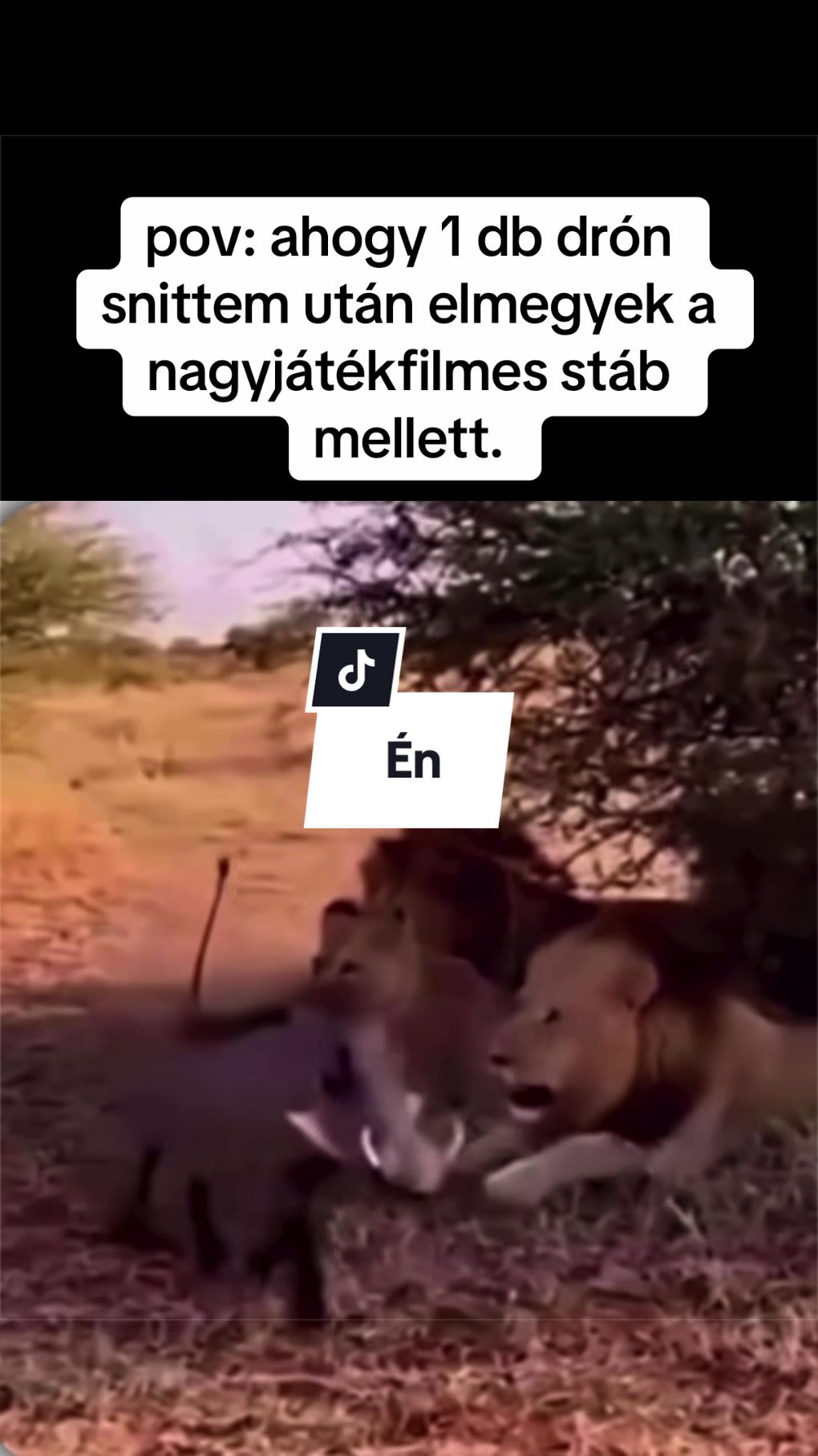 @TokodiGábor