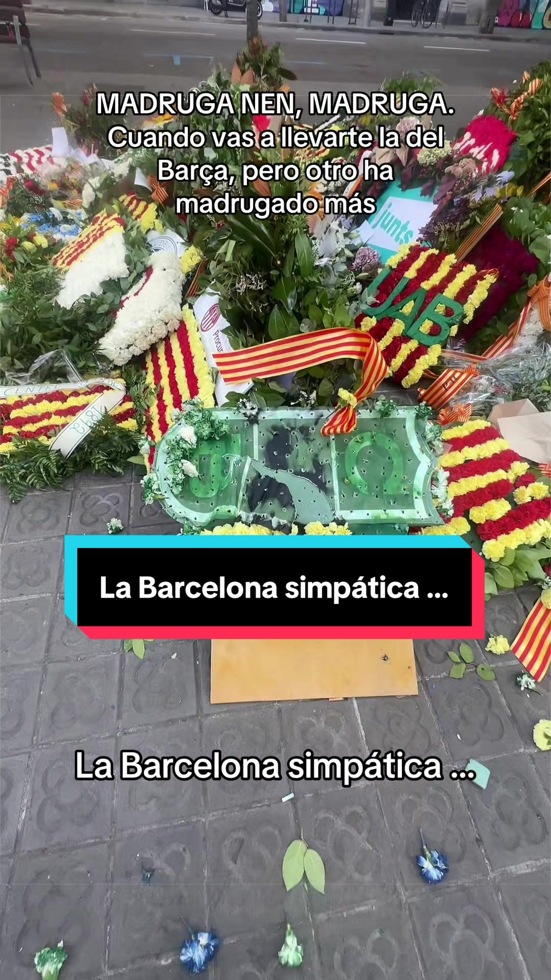 @Rafa Vilalta Rueda