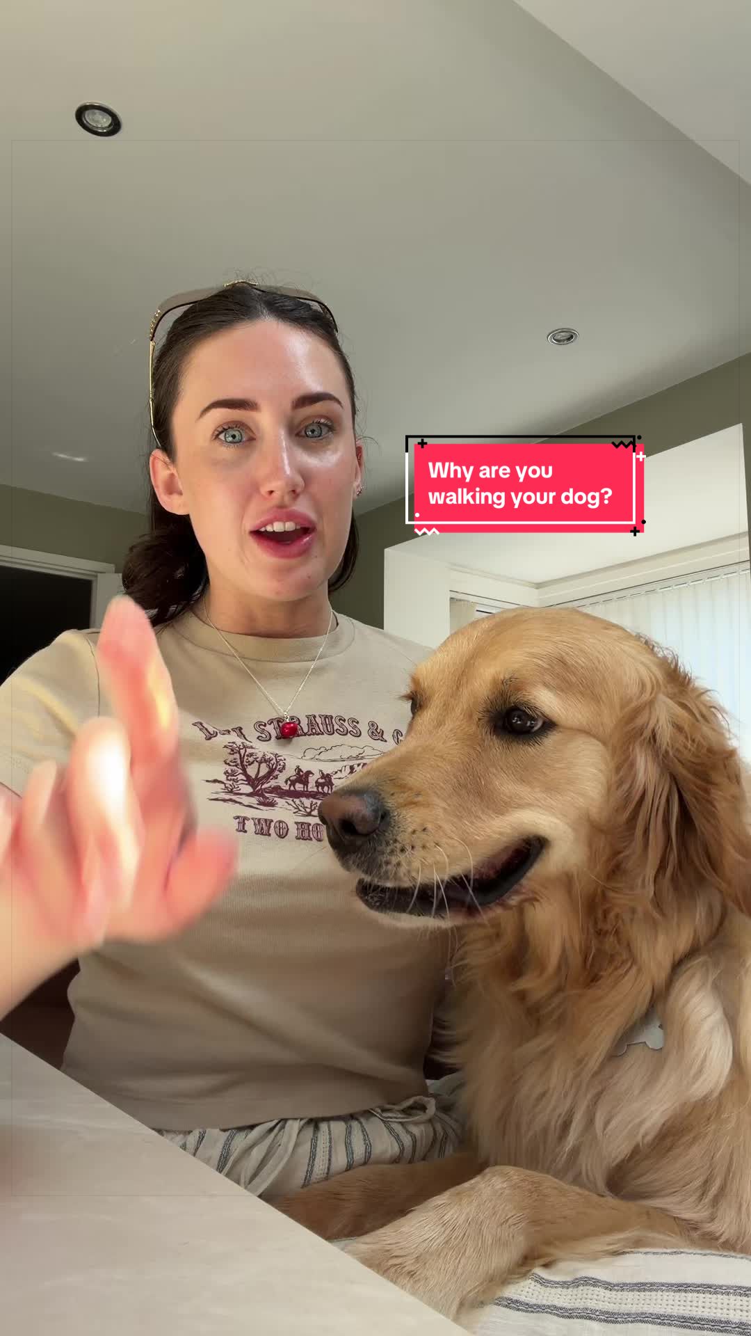 @Sheldon The Retriever