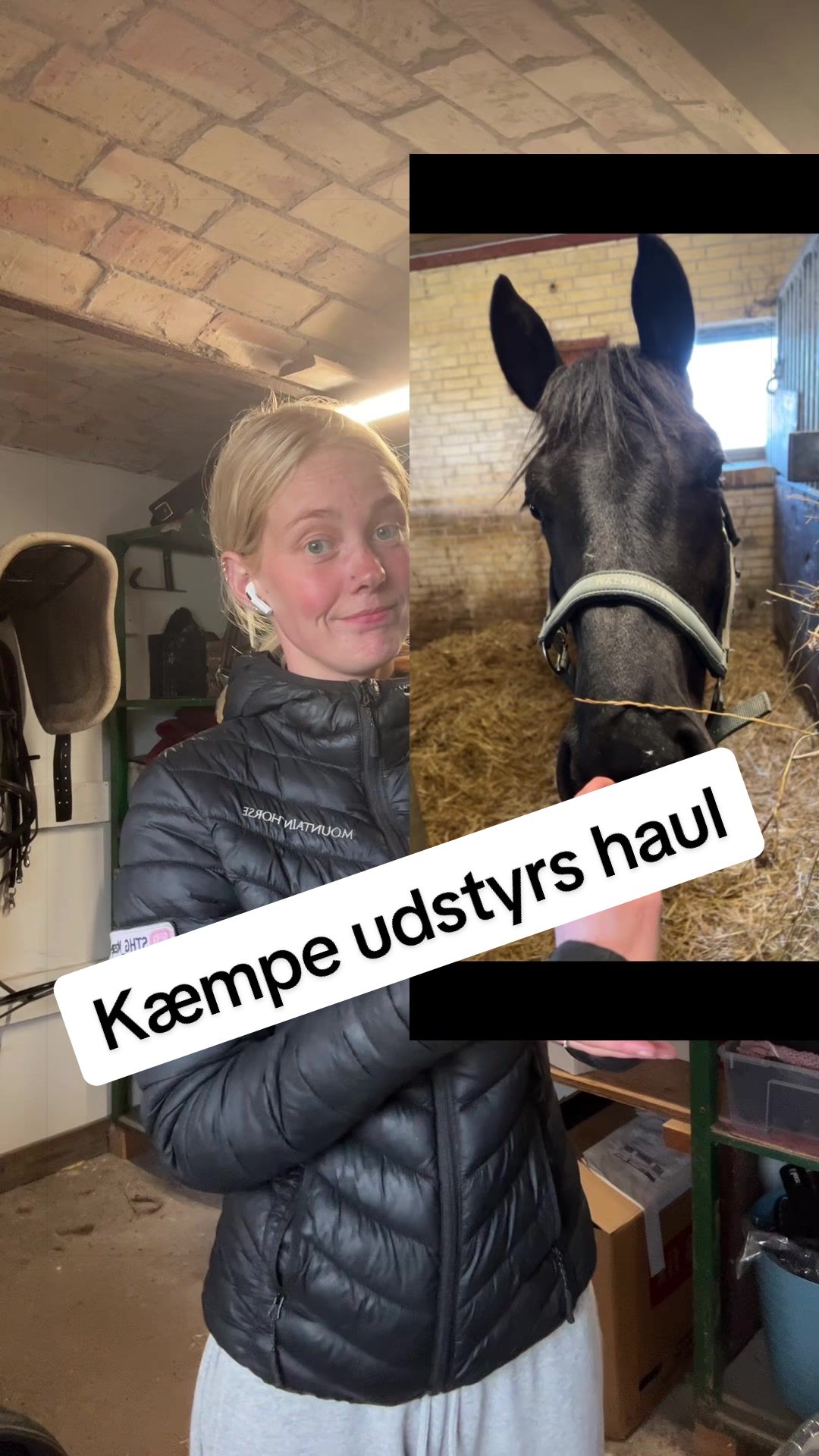@rask_horses