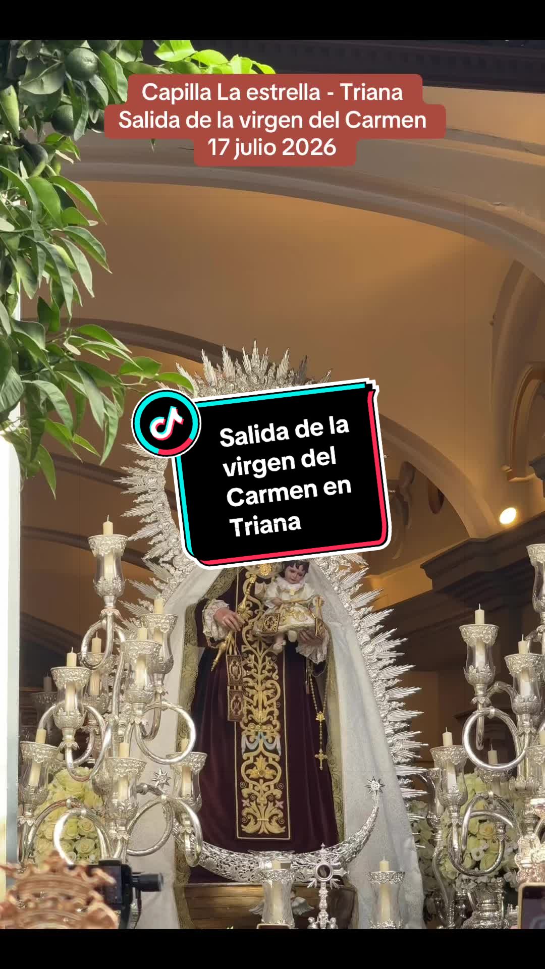 @Rosa Morgado