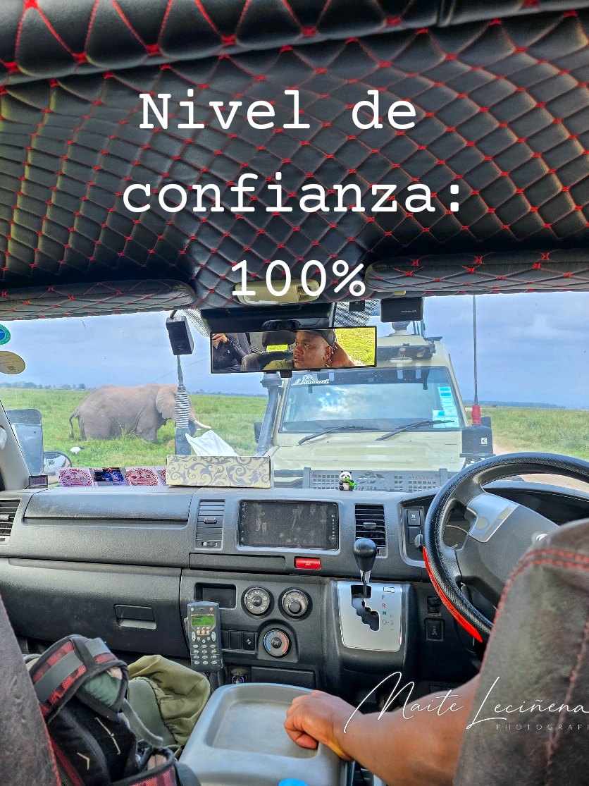 @Maite Leciñena