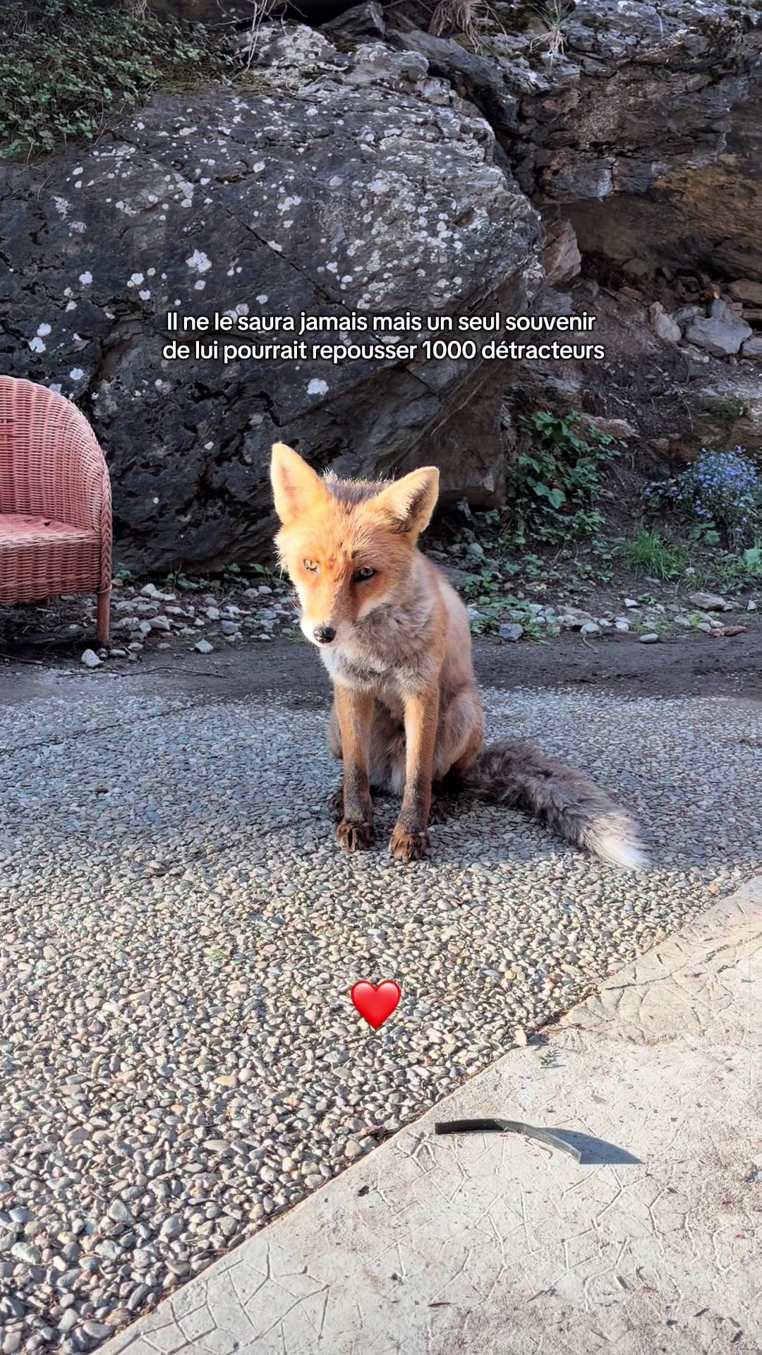 @ChezClacla🦊🇨🇭