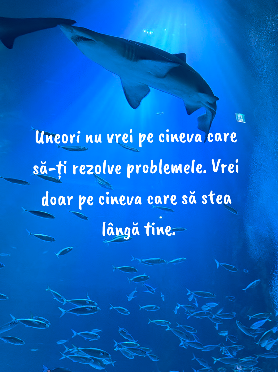@Anca 앙카 𐙚𓏲⋆ ִֶָ ๋